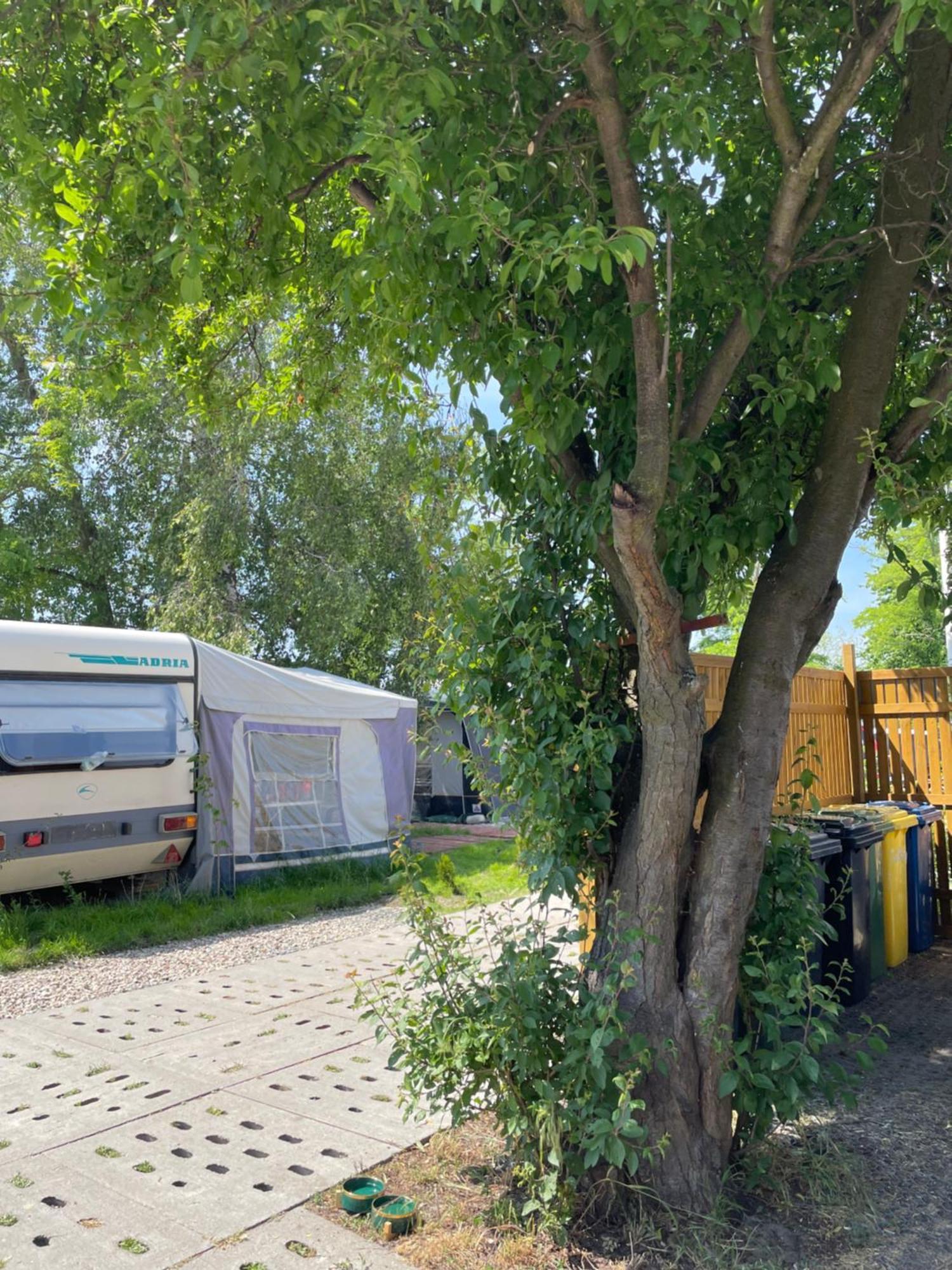 Sonata Camp Hotell Jastarnia Exteriör bild